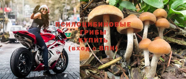 СК Красноперекопск