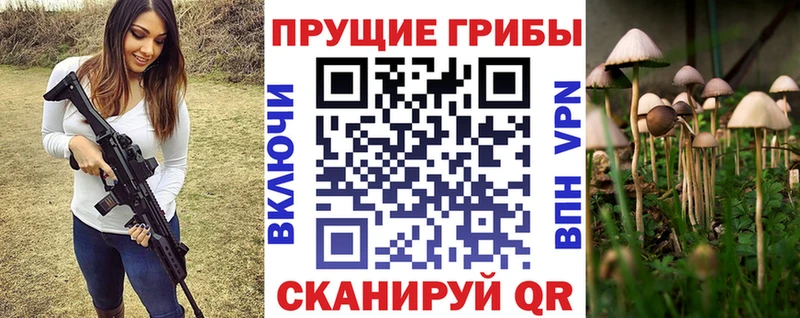 Купить закладки  Белгород  Галлюциногенные грибы мухоморы 